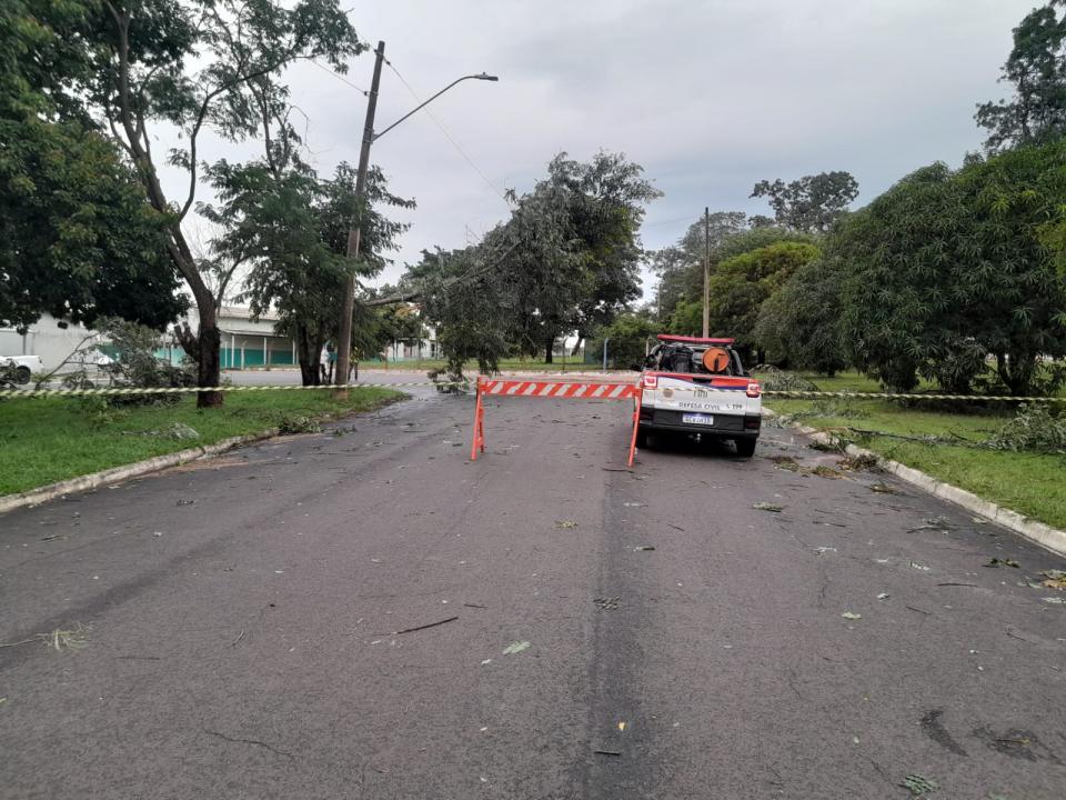 Foto 4 de 29 — Tempestade derruba dezenas de árvores e causa prejuízos em Boa Esperança do Sul